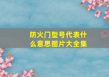 防火门型号代表什么意思图片大全集