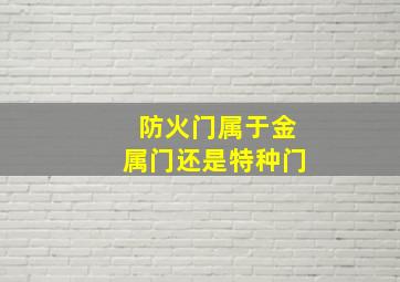 防火门属于金属门还是特种门