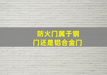 防火门属于钢门还是铝合金门