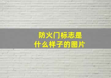 防火门标志是什么样子的图片