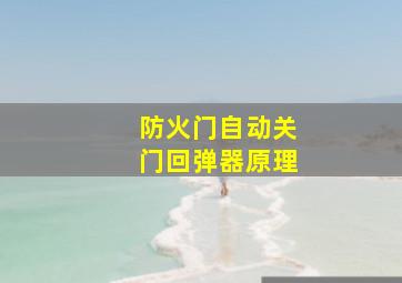 防火门自动关门回弹器原理