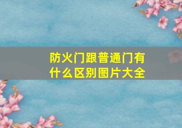 防火门跟普通门有什么区别图片大全