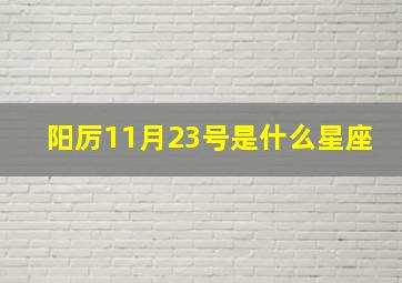 阳厉11月23号是什么星座