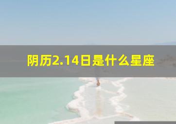 阴历2.14日是什么星座