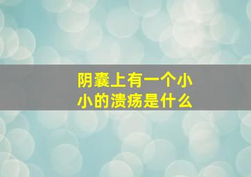 阴囊上有一个小小的溃疡是什么