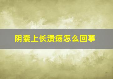 阴囊上长溃疡怎么回事