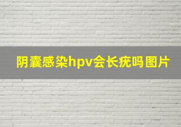 阴囊感染hpv会长疣吗图片