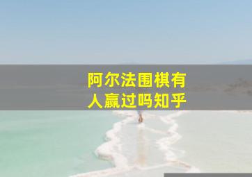 阿尔法围棋有人赢过吗知乎