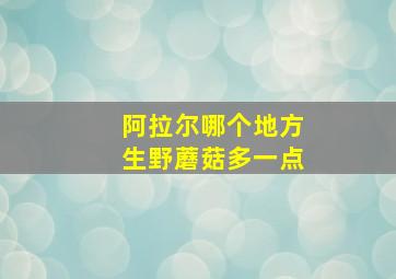 阿拉尔哪个地方生野蘑菇多一点