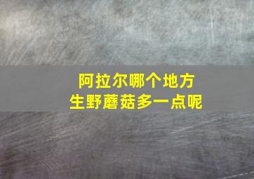 阿拉尔哪个地方生野蘑菇多一点呢