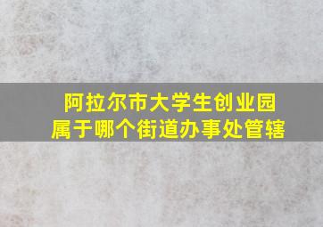 阿拉尔市大学生创业园属于哪个街道办事处管辖