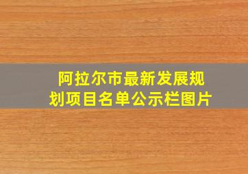 阿拉尔市最新发展规划项目名单公示栏图片