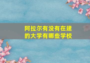 阿拉尔有没有在建的大学有哪些学校