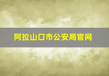 阿拉山口市公安局官网