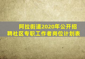 阿拉街道2020年公开招聘社区专职工作者岗位计划表