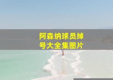 阿森纳球员绰号大全集图片