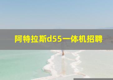 阿特拉斯d55一体机招聘