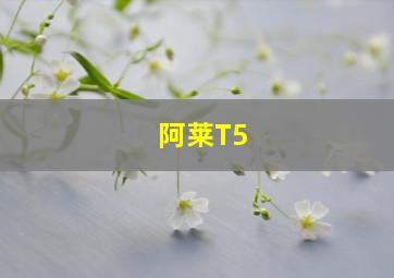 阿莱T5