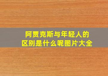 阿贾克斯与年轻人的区别是什么呢图片大全