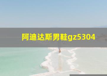 阿迪达斯男鞋gz5304