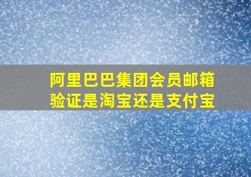 阿里巴巴集团会员邮箱验证是淘宝还是支付宝