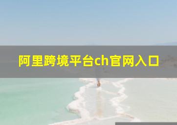 阿里跨境平台ch官网入口