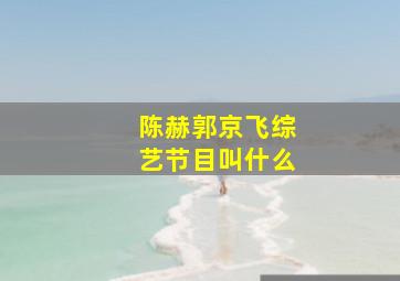 陈赫郭京飞综艺节目叫什么