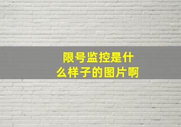 限号监控是什么样子的图片啊