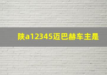 陕a12345迈巴赫车主是