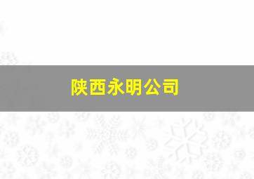 陕西永明公司