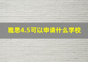 雅思4.5可以申请什么学校