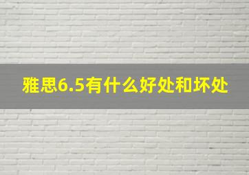 雅思6.5有什么好处和坏处