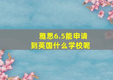 雅思6.5能申请到英国什么学校呢