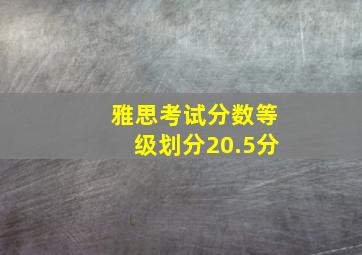 雅思考试分数等级划分20.5分