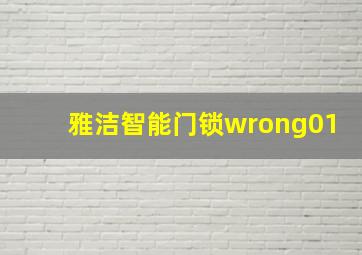 雅洁智能门锁wrong01