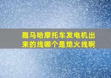 雅马哈摩托车发电机出来的线哪个是熄火线啊