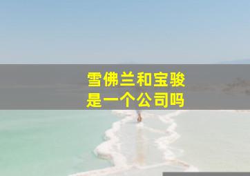 雪佛兰和宝骏是一个公司吗