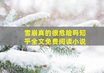 雪崩真的很危险吗知乎全文免费阅读小说