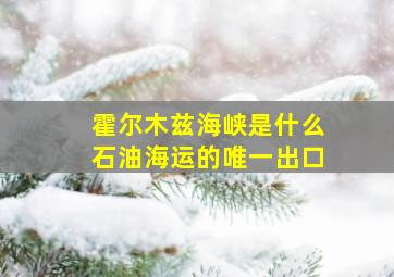 霍尔木兹海峡是什么石油海运的唯一出口