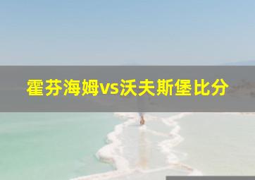 霍芬海姆vs沃夫斯堡比分