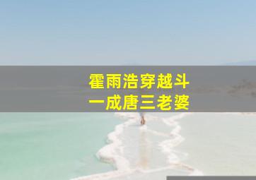 霍雨浩穿越斗一成唐三老婆