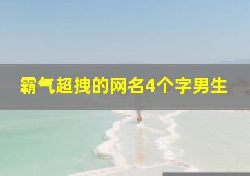 霸气超拽的网名4个字男生