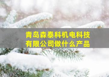 青岛森泰科机电科技有限公司做什么产品