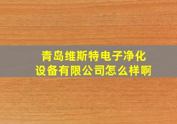 青岛维斯特电子净化设备有限公司怎么样啊