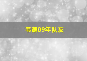 韦德09年队友