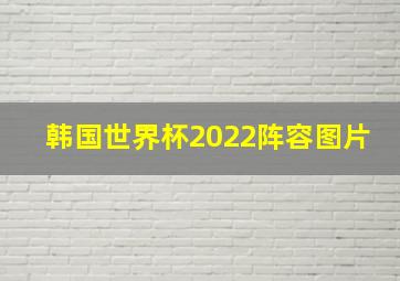 韩国世界杯2022阵容图片