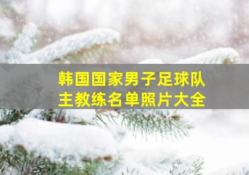 韩国国家男子足球队主教练名单照片大全