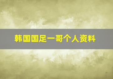 韩国国足一哥个人资料