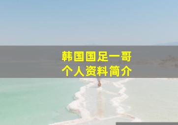 韩国国足一哥个人资料简介