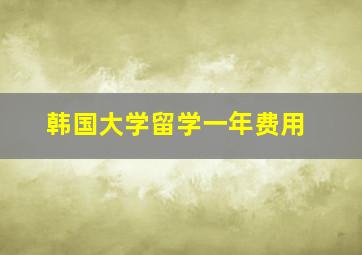 韩国大学留学一年费用